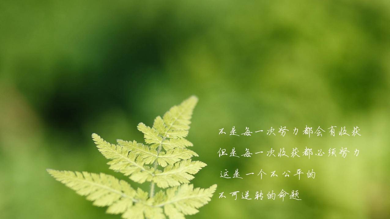 hero-image